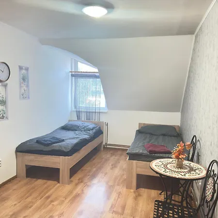 Bilina Apartment *