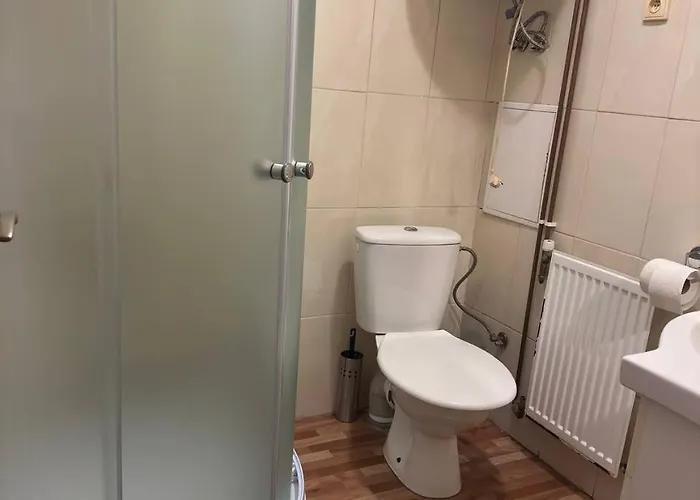 Bilina Apartment Teplice